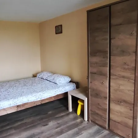 The Dolphin's House *