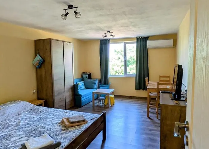 The Dolphin's House 度假居