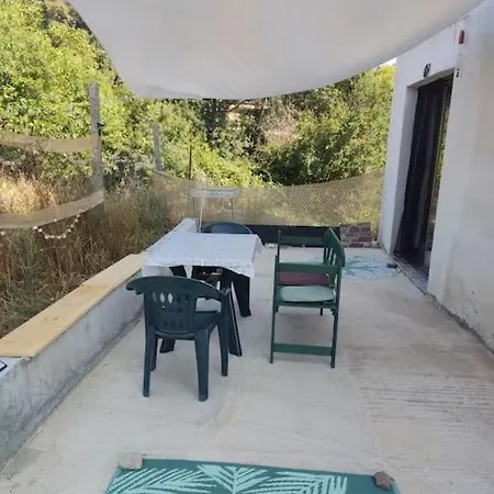 The Dolphin's House Holiday home *