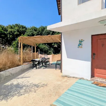 The Dolphin's House *